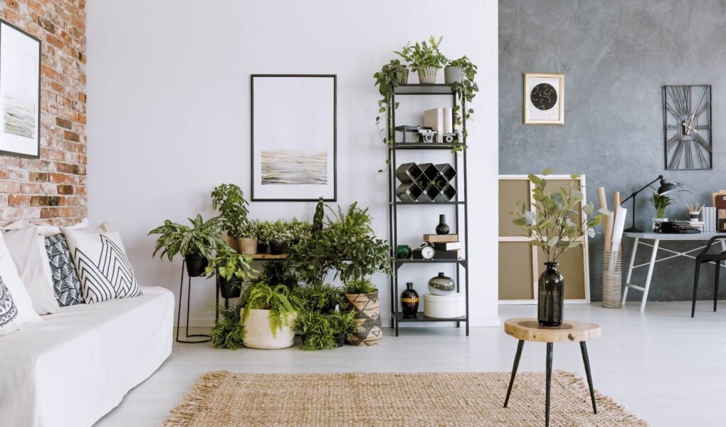 plantas na decoração