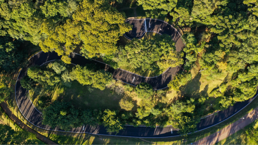 O Parque São Lourenço possui uma imensa área verde para aproveitar ao redor do lago centralizado no parque. O que oferece uma excelente opção para relaxar em meio a correria ou simplesmente conhecer um pouco mais a flora e fauna. (Imagem: Prefeitura Municipal de Curitiba)